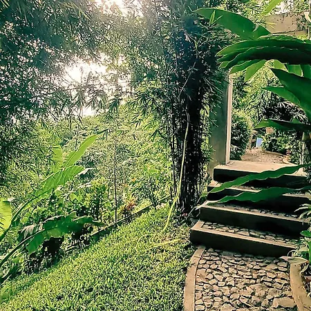 Balinese Inspired Villa In The Highlands Of Cebu