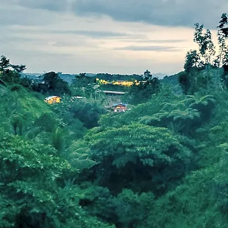 Balinese Inspired Villa In The Highlands Of Cebu